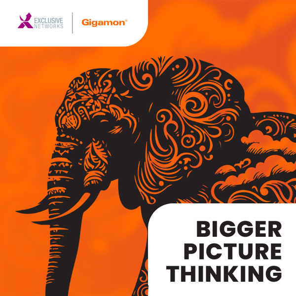 Blog  Gigamon-bigger-picture-blog-image.jpg