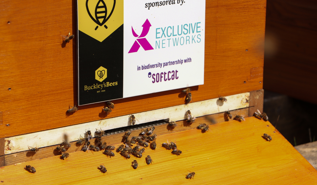 UK Beehive